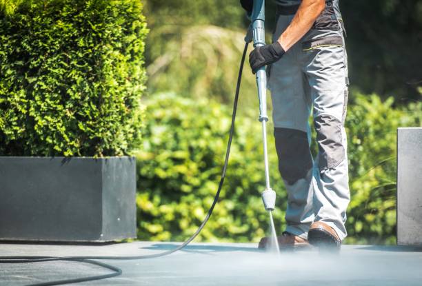 Best Soft Washing  in Lauderdale Lakes, WI